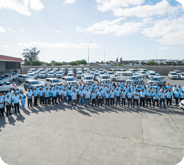 Bluebird car on road