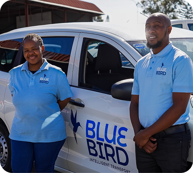 Bluebird team interaction