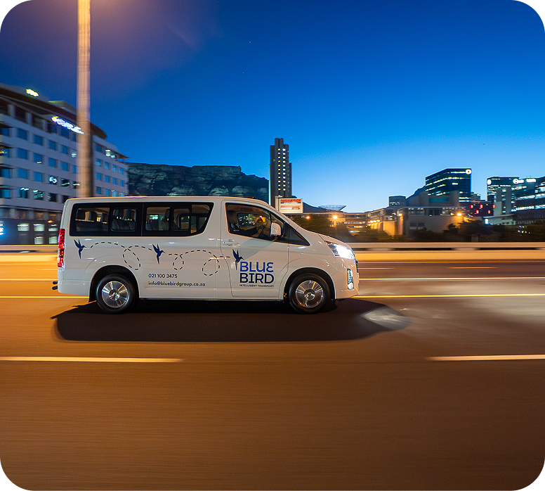 Bluebird team interaction