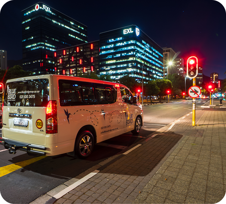 Bluebird car on road