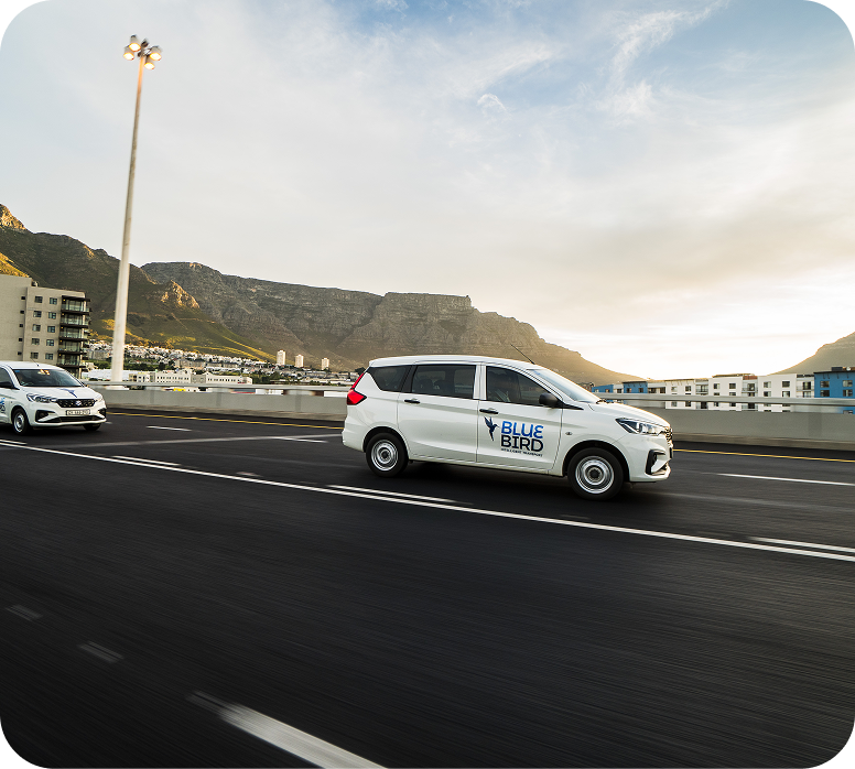 Bluebird fleet parking