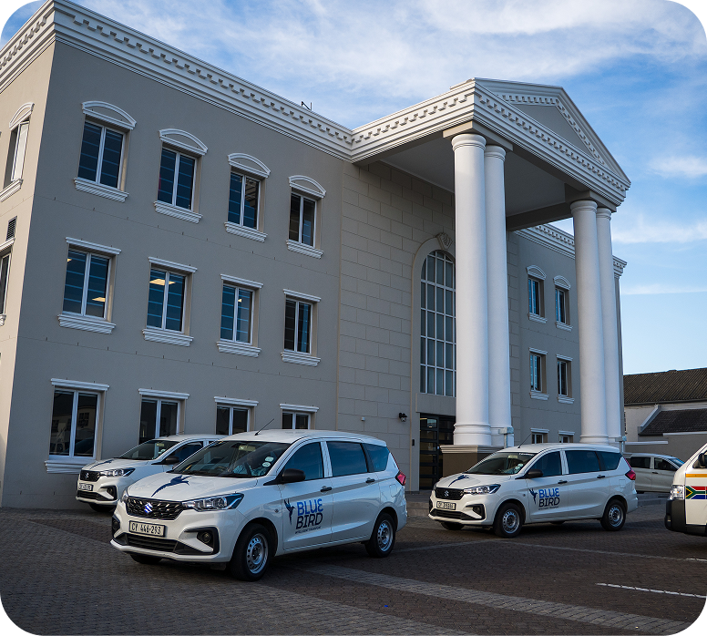 Bluebird team interaction